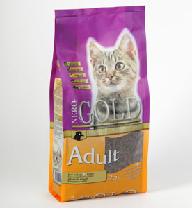 Cat Adult