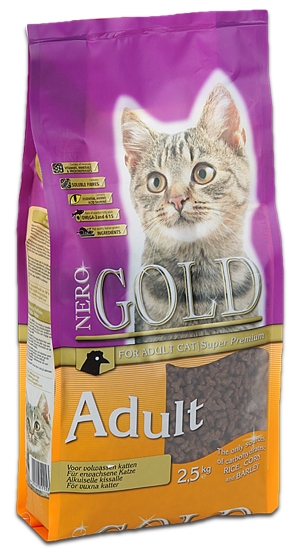 Cat Adult